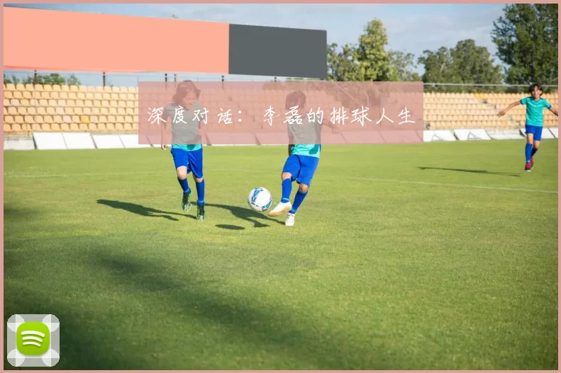 深度对话：李磊的排球人生