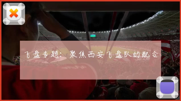 飞盘专题：聚焦西安飞盘队的配合