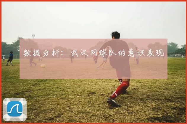 数据分析：武汉网球队的意识表现
