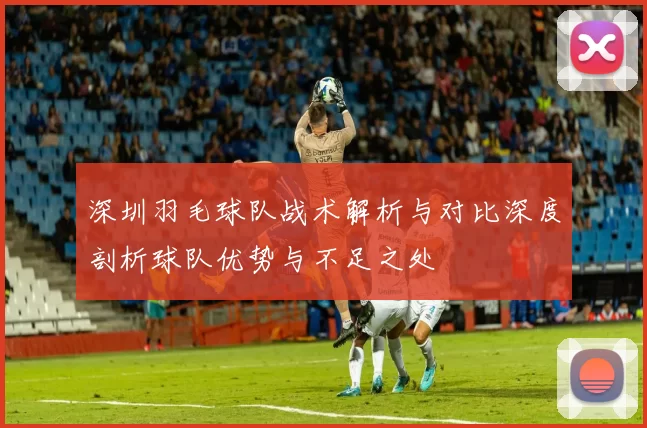 深圳羽毛球队战术解析与对比深度剖析球队优势与不足之处